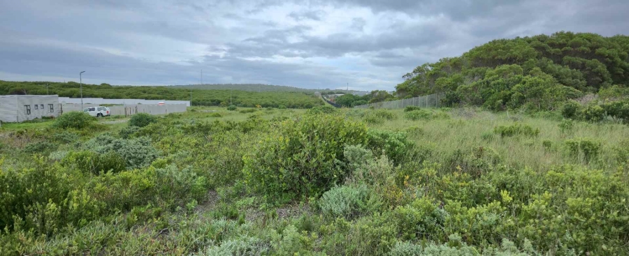 0 Bedroom Property for Sale in Kleinbaai Western Cape